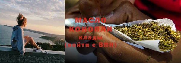 шишки Белоозёрский