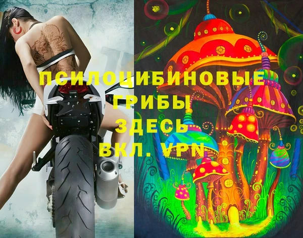 шишки Белоозёрский