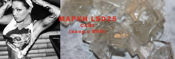 ECSTASY Белокуриха