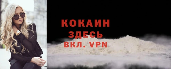 шишки Белоозёрский