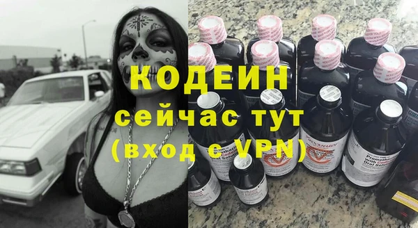шишки Белоозёрский