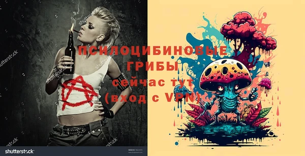 шишки Белоозёрский