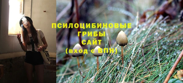 шишки Белоозёрский