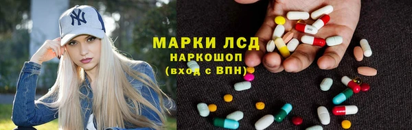 ECSTASY Белокуриха