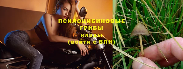 марки lsd Беломорск